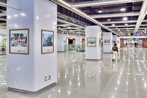 英雄花开英雄城 2026广州“一站一主题”羊角影像馆系列展览启幕，智能设备赋能文化场馆