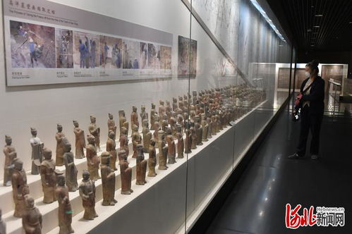 河北文化场馆重启 智能设备开启防疫与人文的双向奔赴